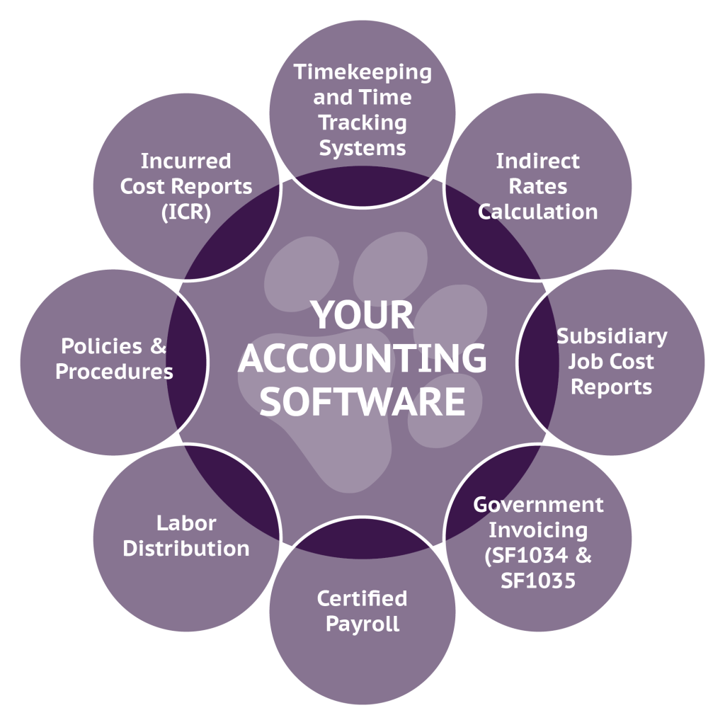 DCAA Compliant Accounting Software