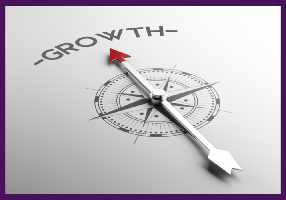 How to Prepare Your Company for Growth